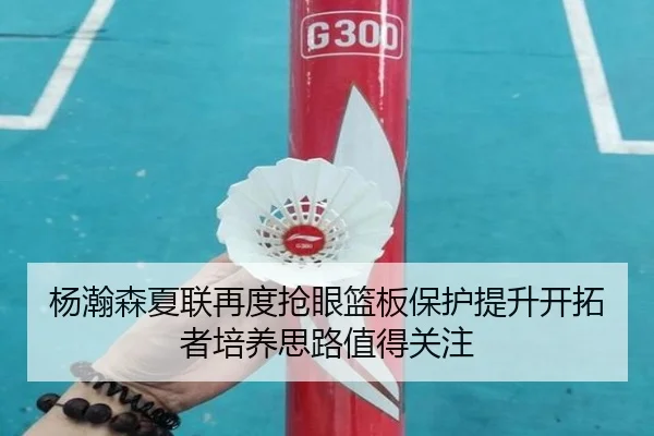 杨瀚森夏联再度抢眼篮板保护提升开拓者培养思路值得关注